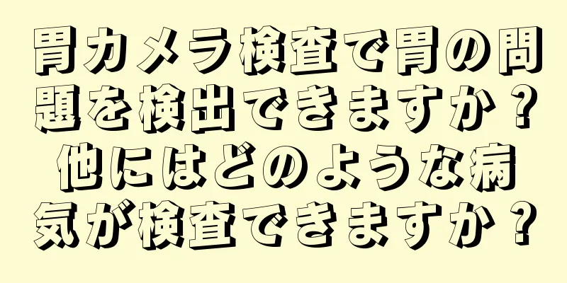 胃カメラ検査で胃の問題を検出できますか？他にはどのような病気が検査できますか？