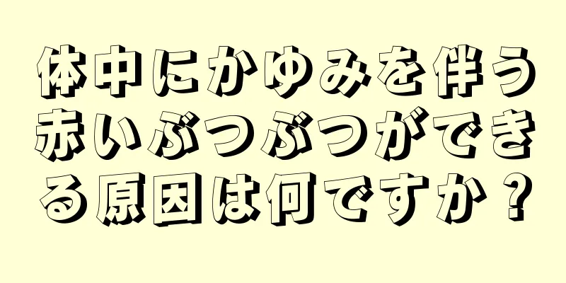 体中にかゆみを伴う赤いぶつぶつができる原因は何ですか？