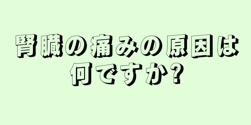 腎臓の痛みの原因は何ですか?