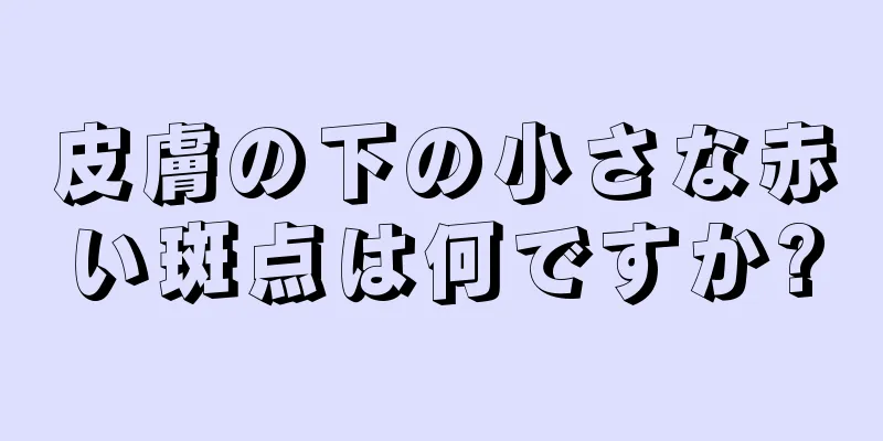 皮膚の下の小さな赤い斑点は何ですか?