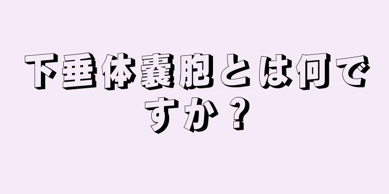 下垂体嚢胞とは何ですか？