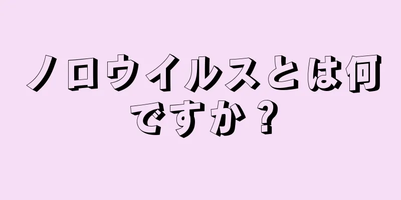 ノロウイルスとは何ですか？