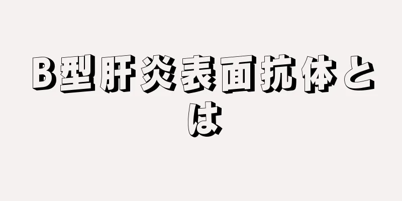 B型肝炎表面抗体とは