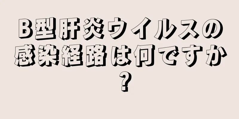 B型肝炎ウイルスの感染経路は何ですか？