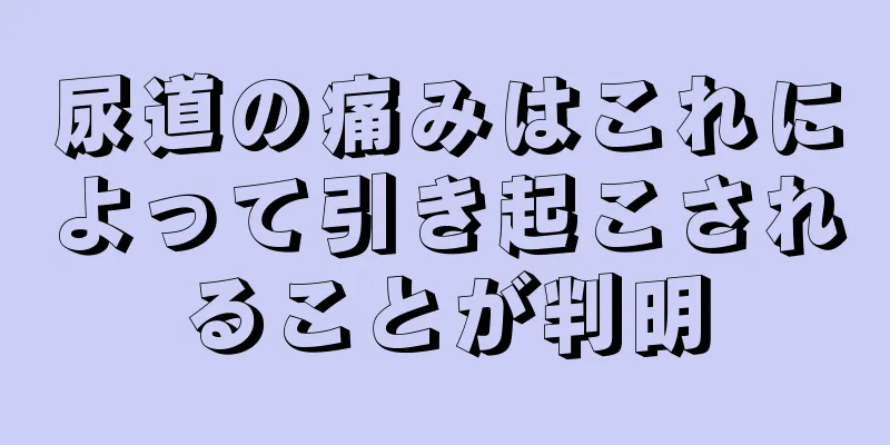 尿道の痛みはこれによって引き起こされることが判明