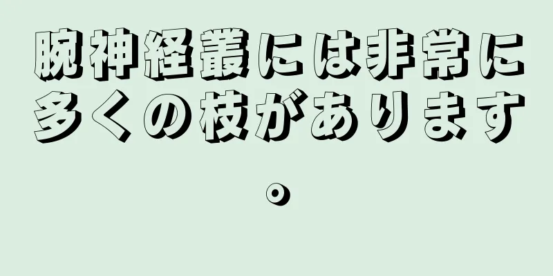 腕神経叢には非常に多くの枝があります。