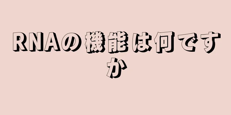 RNAの機能は何ですか