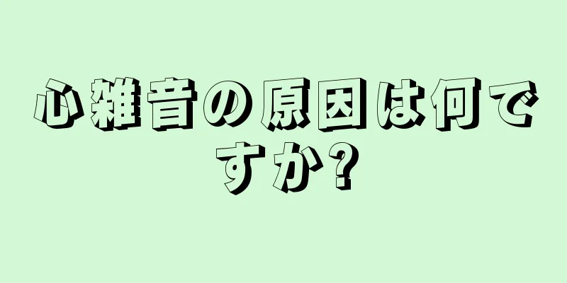 心雑音の原因は何ですか?