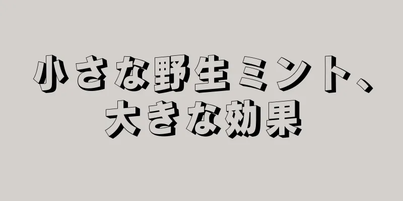 小さな野生ミント、大きな効果