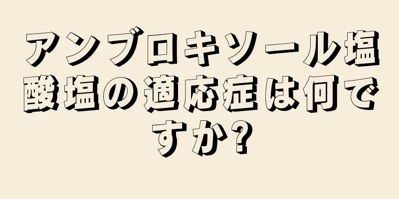 アンブロキソール塩酸塩の適応症は何ですか?