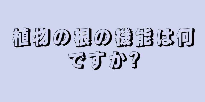 植物の根の機能は何ですか?