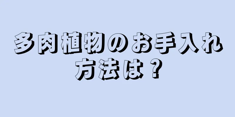 多肉植物のお手入れ方法は？