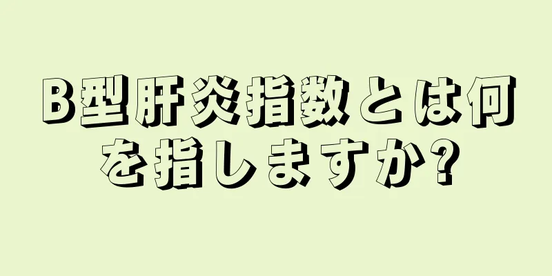 B型肝炎指数とは何を指しますか?