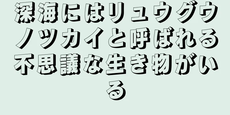 深海にはリュウグウノツカイと呼ばれる不思議な生き物がいる