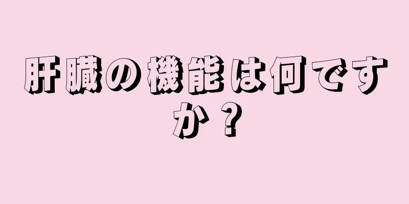 肝臓の機能は何ですか？