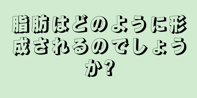 脂肪はどのように形成されるのでしょうか?