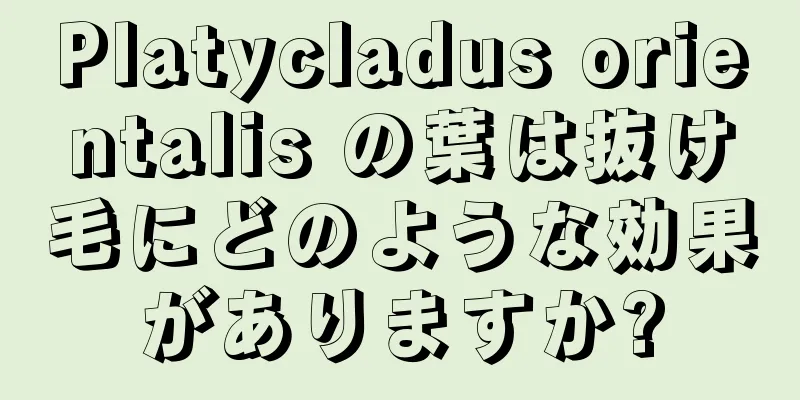 Platycladus orientalis の葉は抜け毛にどのような効果がありますか?