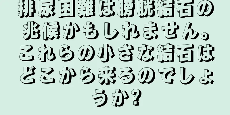 排尿困難は膀胱結石の兆候かもしれません。これらの小さな結石はどこから来るのでしょうか?