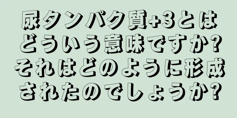 尿タンパク質+3とはどういう意味ですか?それはどのように形成されたのでしょうか?