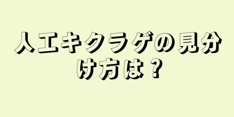 人工キクラゲの見分け方は？