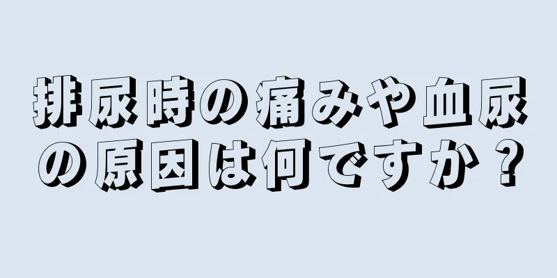 排尿時の痛みや血尿の原因は何ですか？