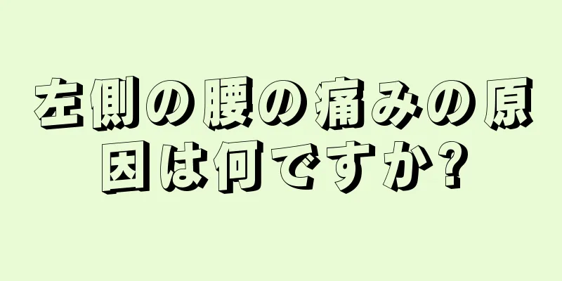 左側の腰の痛みの原因は何ですか?