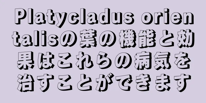 Platycladus orientalisの葉の機能と効果はこれらの病気を治すことができます