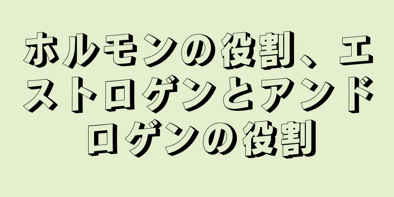 ホルモンの役割、エストロゲンとアンドロゲンの役割