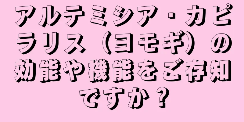 アルテミシア・カピラリス（ヨモギ）の効能や機能をご存知ですか？