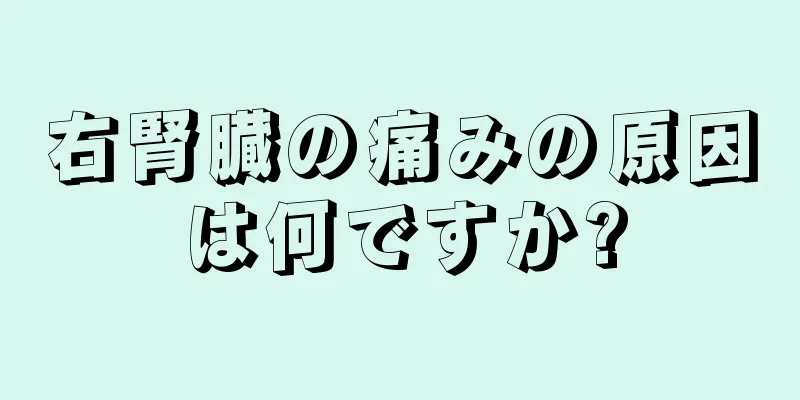 右腎臓の痛みの原因は何ですか?