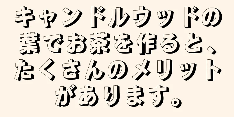 キャンドルウッドの葉でお茶を作ると、たくさんのメリットがあります。