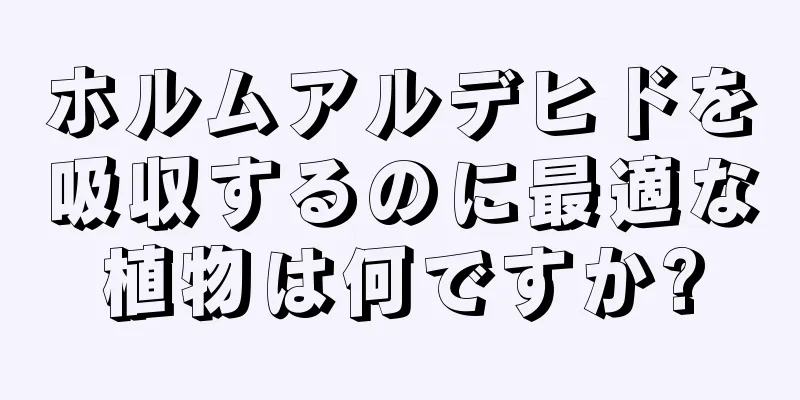 ホルムアルデヒドを吸収するのに最適な植物は何ですか?