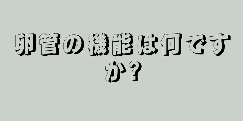 卵管の機能は何ですか?