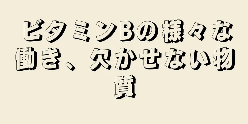 ビタミンBの様々な働き、欠かせない物質