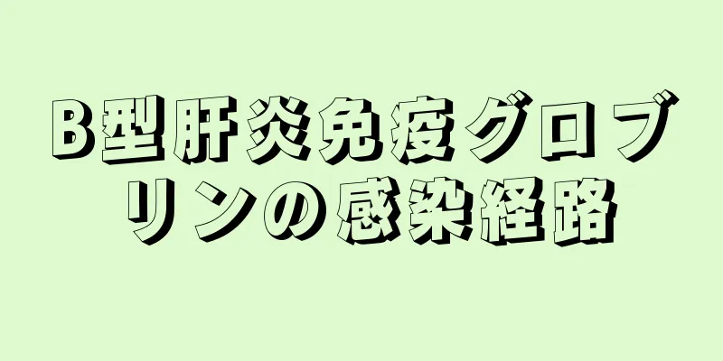 B型肝炎免疫グロブリンの感染経路