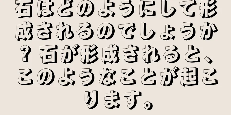 石はどのようにして形成されるのでしょうか? 石が形成されると、このようなことが起こります。