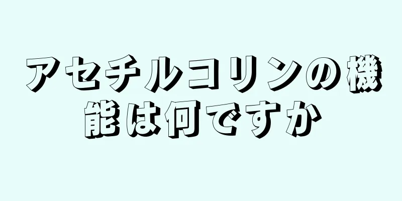 アセチルコリンの機能は何ですか