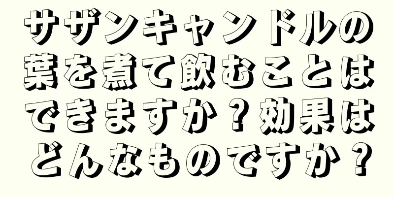 サザンキャンドルの葉を煮て飲むことはできますか？効果はどんなものですか？