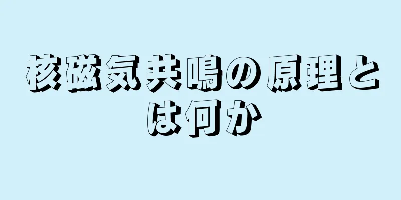 核磁気共鳴の原理とは何か