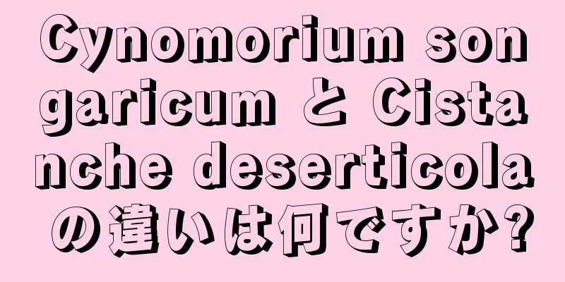 Cynomorium songaricum と Cistanche deserticola の違いは何ですか?