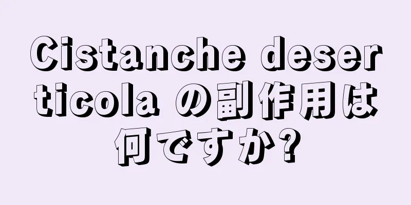 Cistanche deserticola の副作用は何ですか?