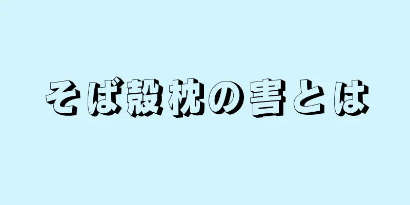 そば殻枕の害とは