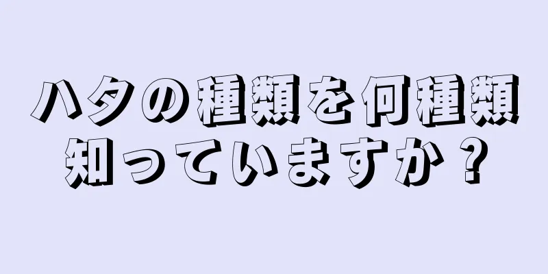 ハタの種類を何種類知っていますか？