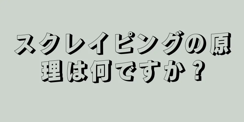 スクレイピングの原理は何ですか？