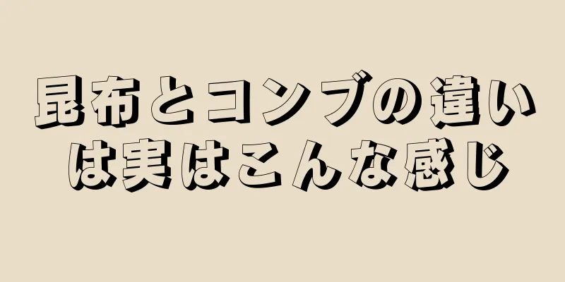 昆布とコンブの違いは実はこんな感じ