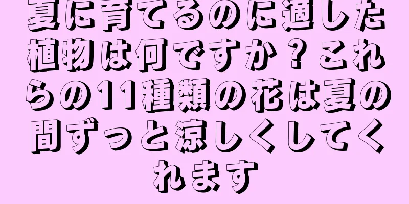 夏に育てるのに適した植物は何ですか？これらの11種類の花は夏の間ずっと涼しくしてくれます