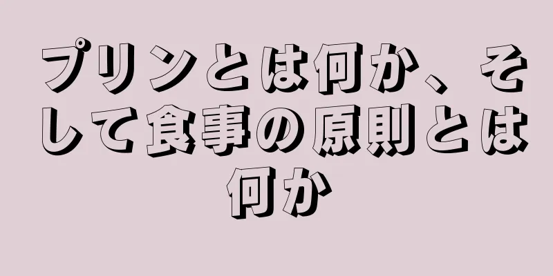 プリンとは何か、そして食事の原則とは何か