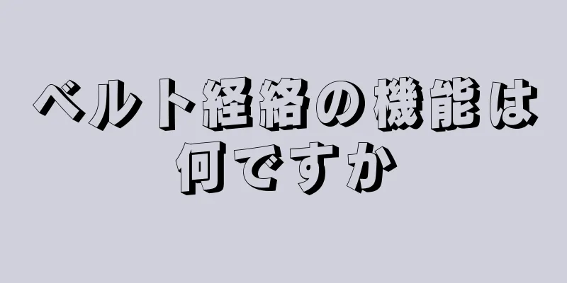 ベルト経絡の機能は何ですか