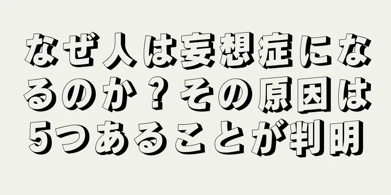 なぜ人は妄想症になるのか？その原因は5つあることが判明