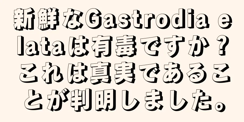 新鮮なGastrodia elataは有毒ですか？これは真実であることが判明しました。